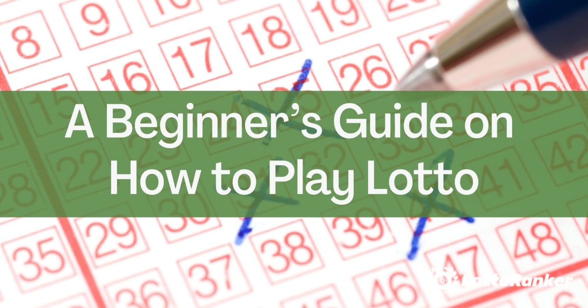 Una guía para principiantes sobre cómo jugar a la lotería
